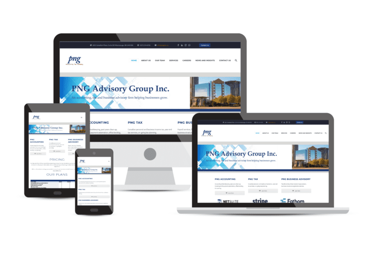 PNG Advisory Group Mississauga Consulting Web Portfolio