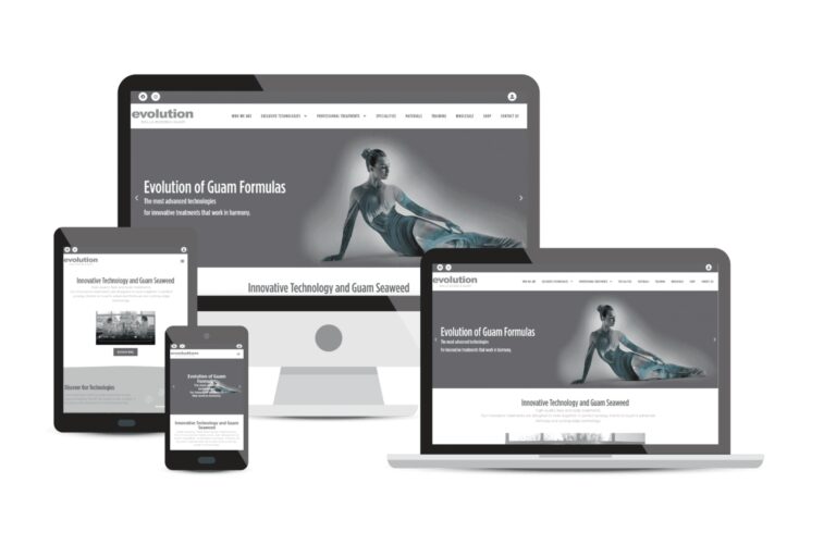 Evolution by Guam USA Mississauga Consulting Website Portfolio